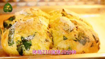 101239a6q8ee35xqpm77uu.gif