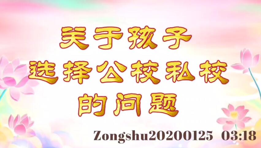 关于孩子选择公校私校的问题 zongshu20200125_0318