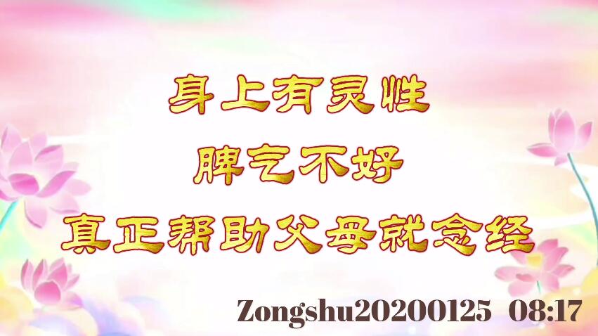 身上有灵性，脾气不好；真正帮助父母就念经 zongshu20200125_0817