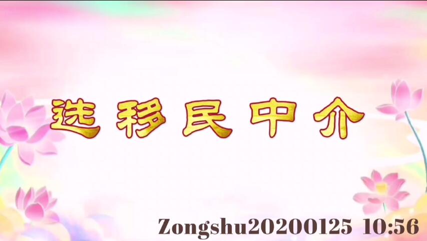 选移民中介 zongshu20200125_1056