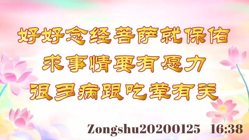 好好念经菩萨就保佑；求事情要有愿力；很多病跟吃荤有关 zongshu20200125_