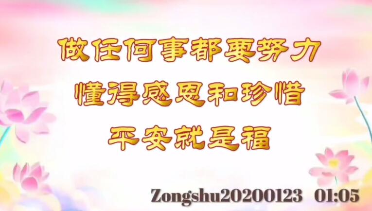 做任何事都要努力，懂得感恩和珍惜，平安就是福 zongshu20200123_0105