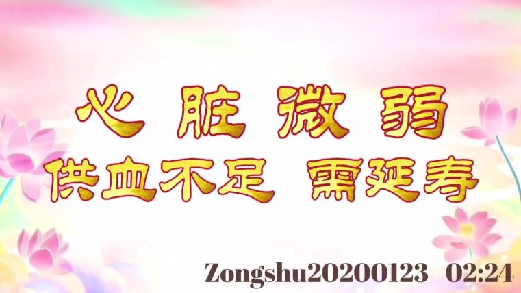 心脏微弱，供血不足，需延寿 zongshu20200123_0224