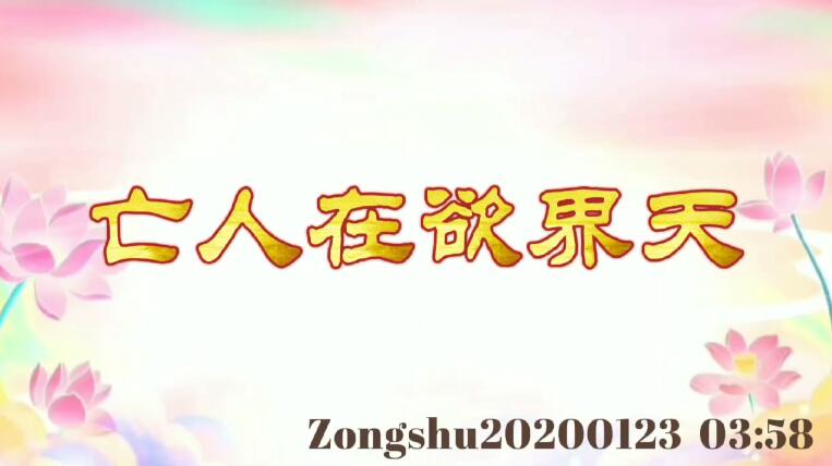 亡人在欲界天 zongshu20200123_0358