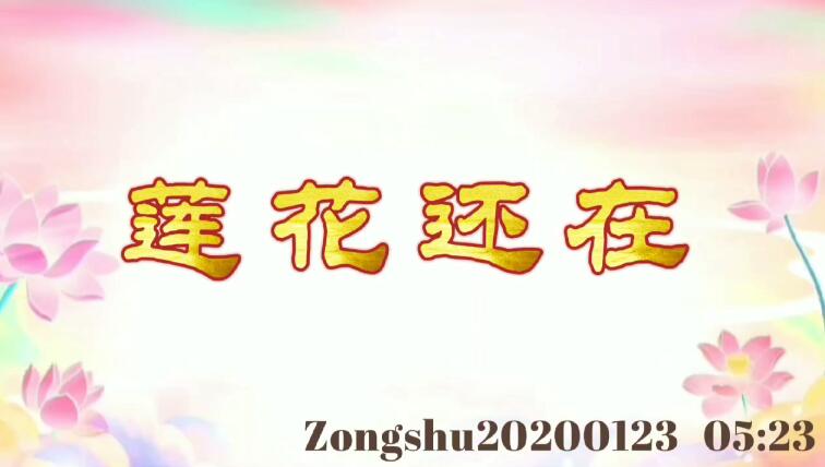 莲花还在 zongshu20200123_0523