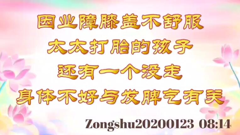 因业障膝盖不舒服；太太打胎的孩子还有一个没走；身体不好与发脾气有关 zongshu20