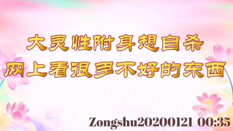 大灵性附身想自杀；网上看很多不好的东西 zongshu20200121_0035