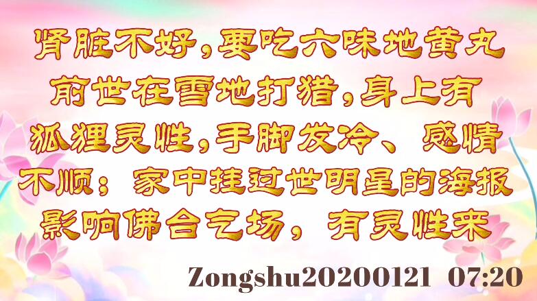 肾脏不好，要吃六味地黄丸；前世在雪地打猎，身上有狐狸灵性，手脚发冷、感情不顺；家中挂过