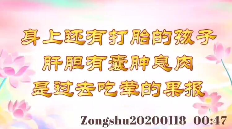 身上还有打胎的孩子；肝胆有囊肿息肉，是过去吃荤的果报 zongshu20200118_