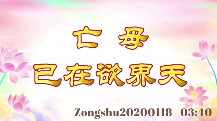 亡母已在欲界天 zongshu20200118_0340