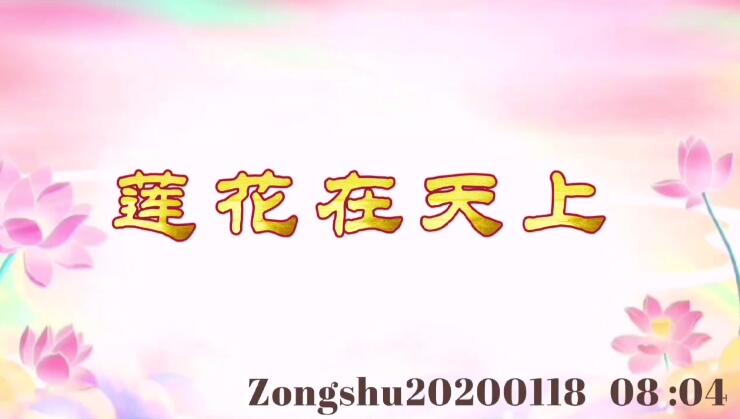 莲花在天上 zongshu20200118_0804