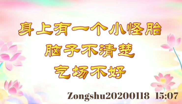 身上有一个小怪胎，脑子不清楚，气场不好 zongshu20200118_1507