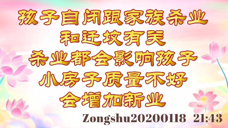 孩子自闭跟家族杀业和迁坟有关；杀业都会影响孩子；小房子质量不好会增加新业 zongsh