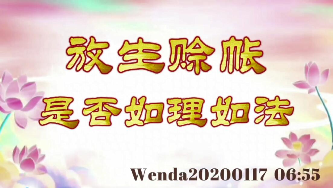 放生赊帐是否如理如法 wenda20200117_0655