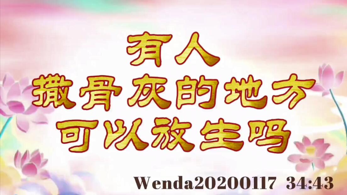 有人撒骨灰的地方可以放生吗 wenda20200117_3443