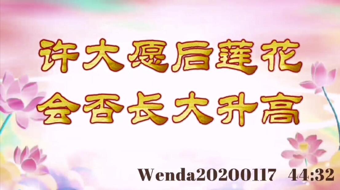 许大愿后莲花会否长大升高 wenda20200117_4432