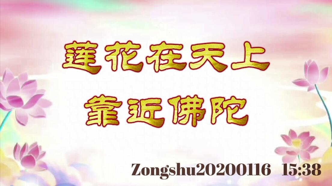 莲花在天上，靠近佛陀 zongshu20200116_1538