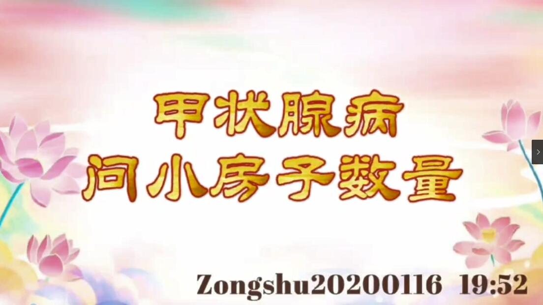 甲状腺病，问小房子数量 zongshu20200116_1952