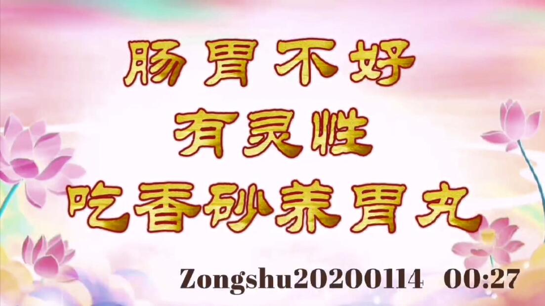 肠胃不好，有灵性，吃香砂养胃丸 zongshu20200114_0027