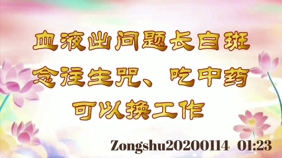 血液出问题长白斑，念往生咒、吃中药；可以换工作 zongshu20200114_012