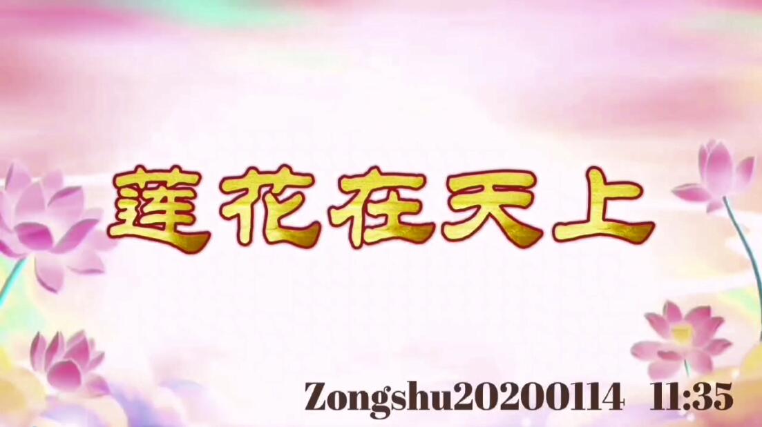 莲花在天上 zongshu20200114_1135