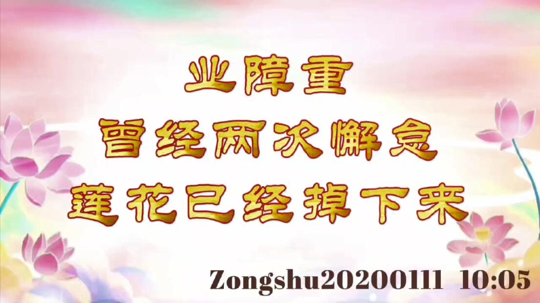 业障重，曾经两次懈怠，莲花已经掉下来 zongshu20200111_1005