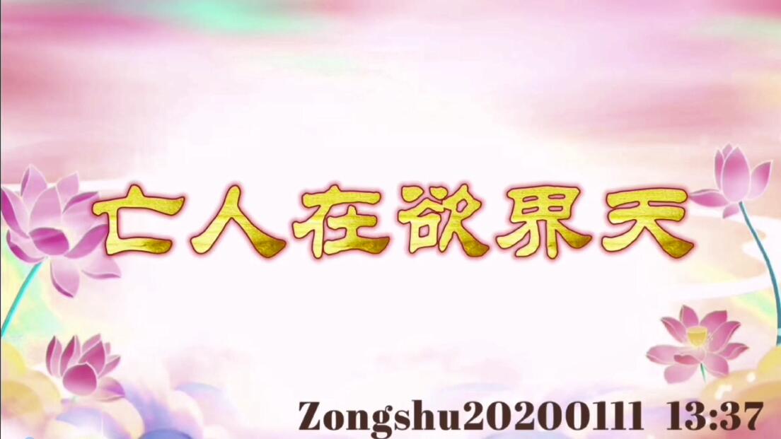 亡人在欲界天 zongshu20200111_1337