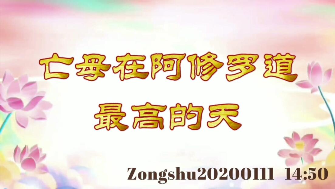 亡母在阿修罗道最高的天 zongshu20200111_1450
