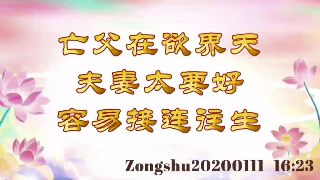 亡父在欲界天；夫妻太要好，容易接连往生 zongshu20200111_1623