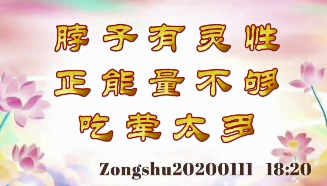 脖子有灵性，正能量不够，吃荤太多 zongshu20200111_1820