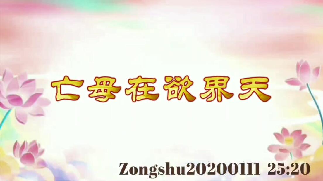 亡母在欲界天 zongshu20200111_2520