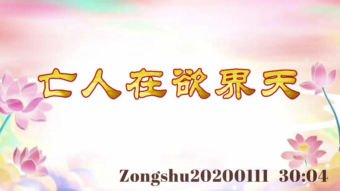 亡人在欲界天 zongshu20200111_3004