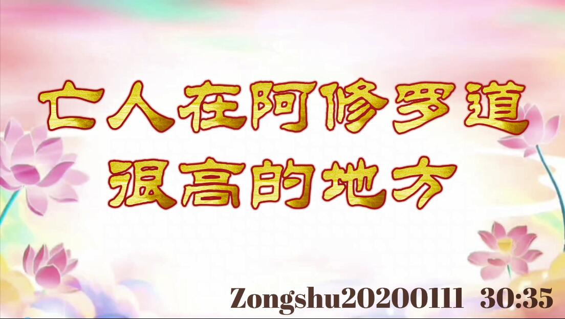 亡人在阿修罗道很高的地方 zongshu20200111_3035