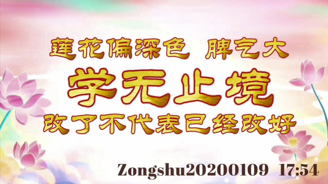 莲花偏深色，脾气大；学无止境，改了不代表已经改好 zongshu20200109_17