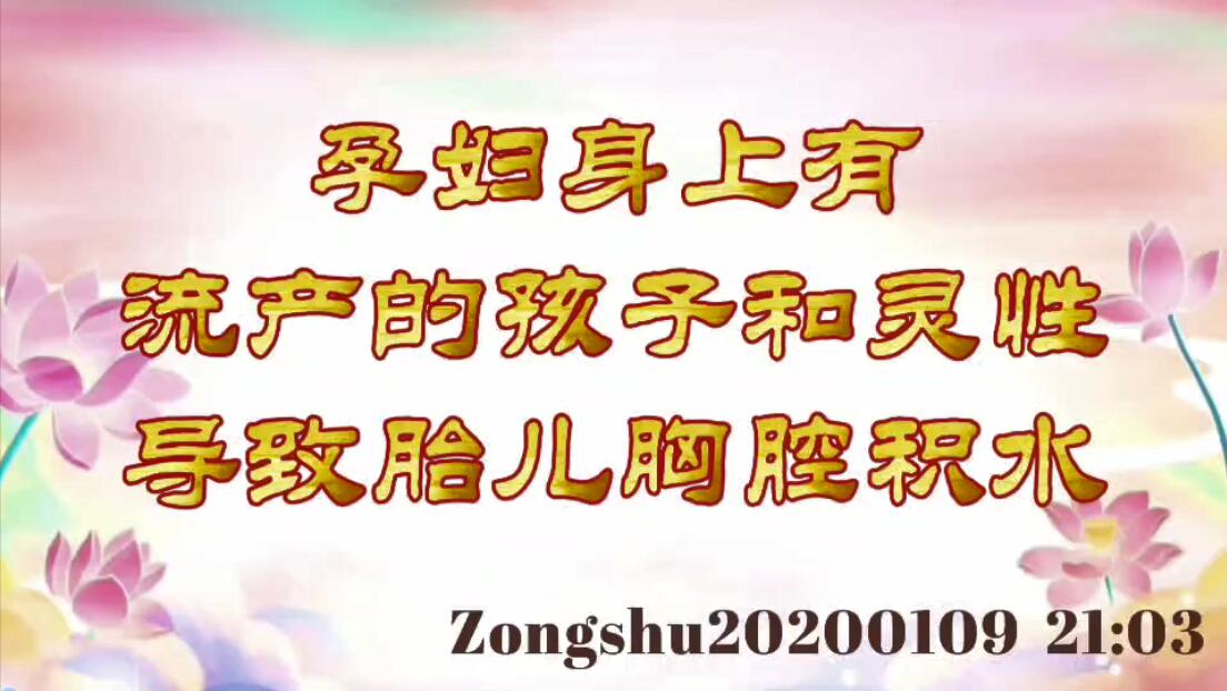 孕妇身上有流产的孩子和灵性导致胎儿胸腔积水 zongshu20200109_2103