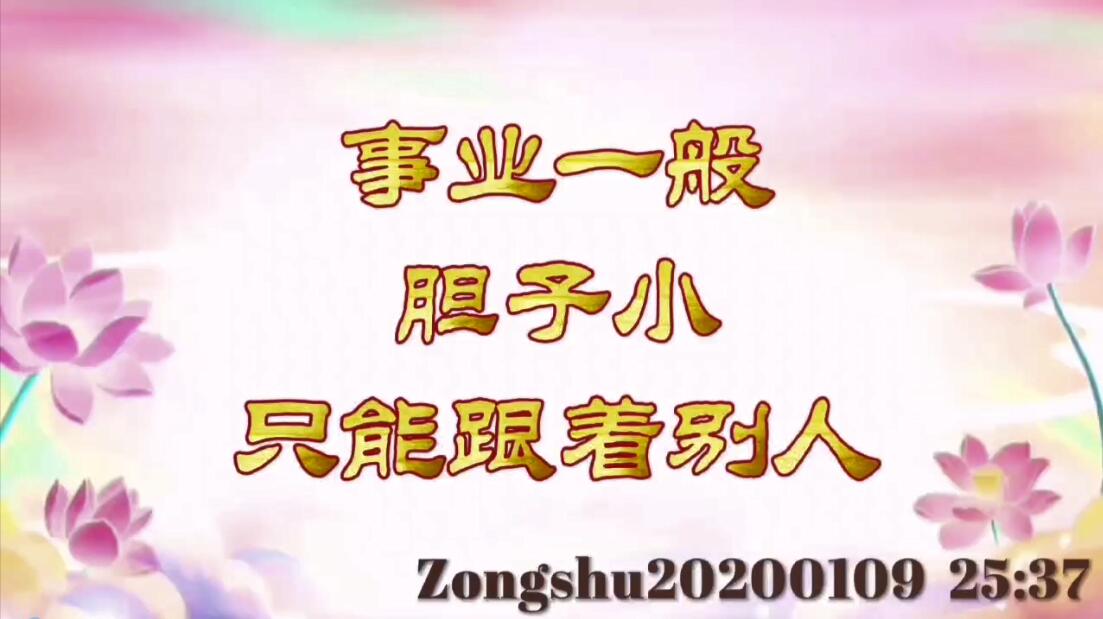 事业一般，胆子小，只能跟着别人 zongshu20200109_2537
