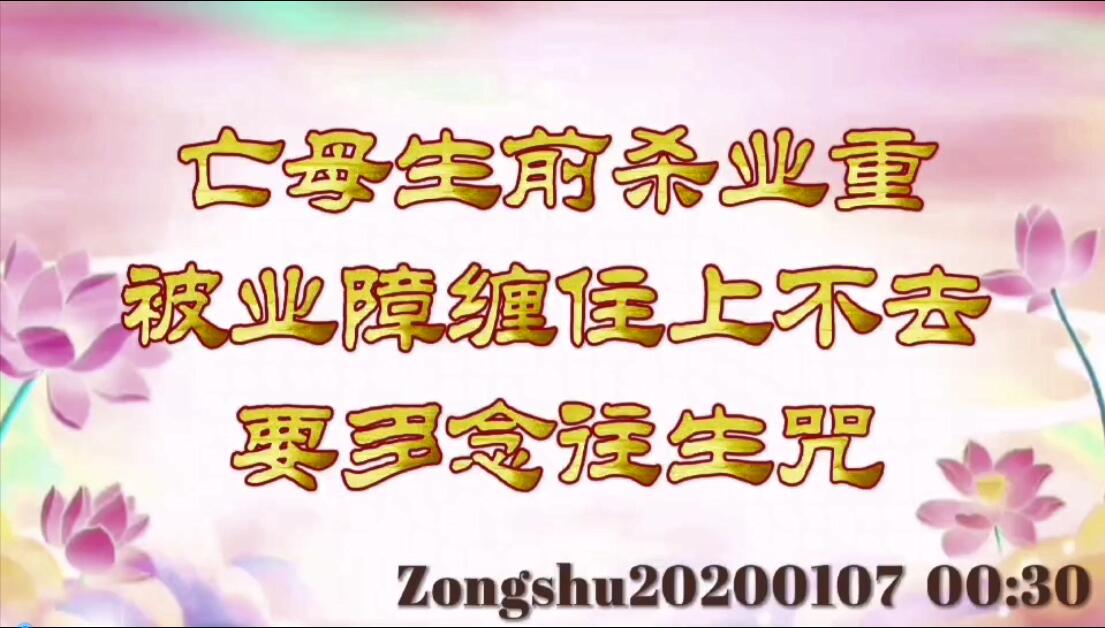 亡母生前杀业重，被业障缠住上不去，要多念往生咒 zongshu20200107_003
