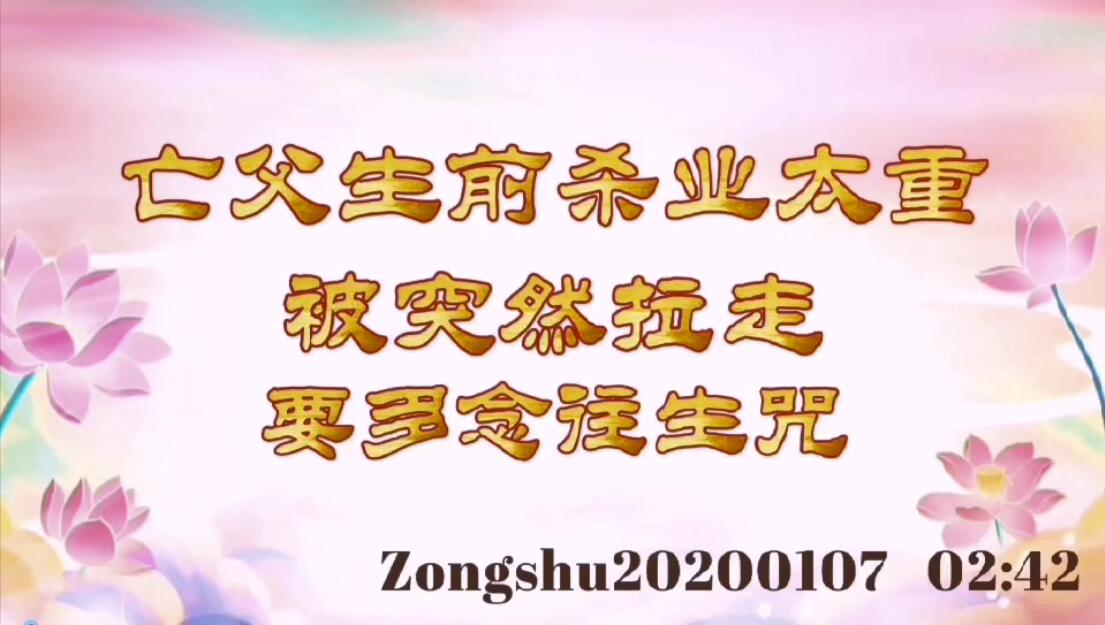 亡父生前杀业太重被突然拉走，要多念往生咒 zongshu20200107_0242