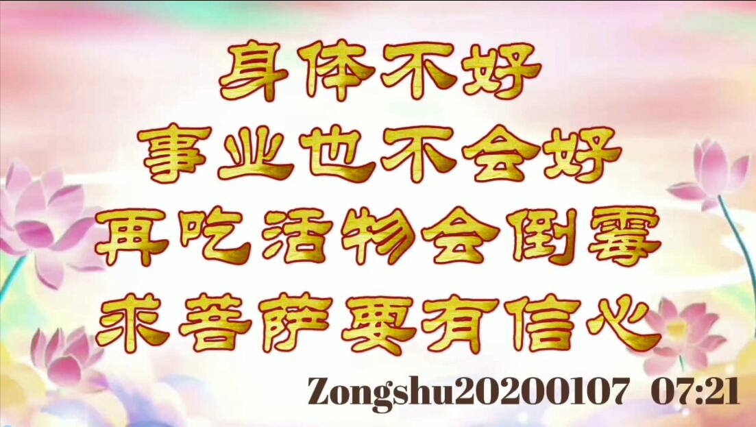 身体不好，事业也不会好；再吃活物会倒霉；求菩萨要有信心 zongshu20200107