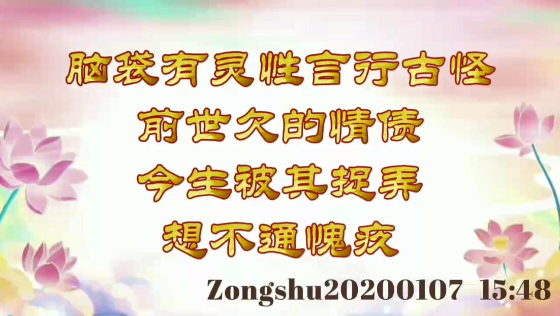 脑袋有灵性，言行古怪；前世欠的情债，今生被其捉弄，想不通愧疚 zongshu20200