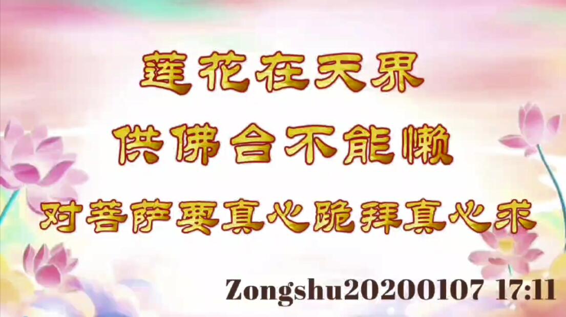 莲花在天界；供佛台不能懒，对菩萨要真心跪拜真心求 zongshu20200107_17