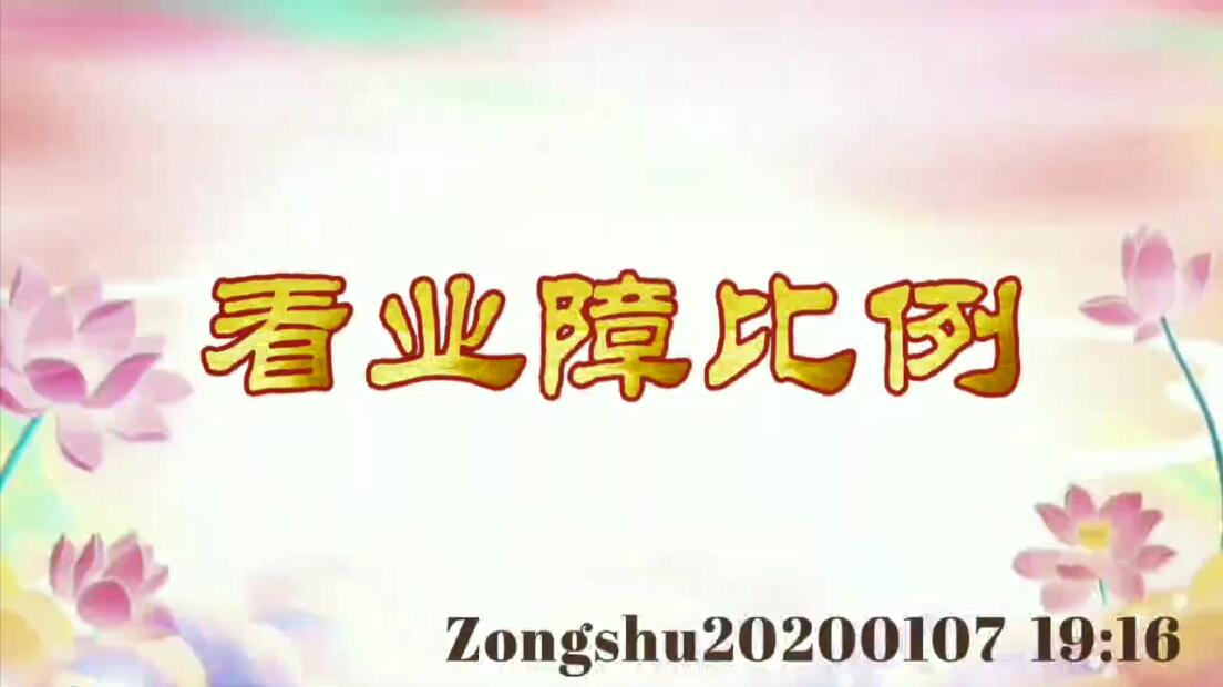 看业障比例 zongshu20200107_1916