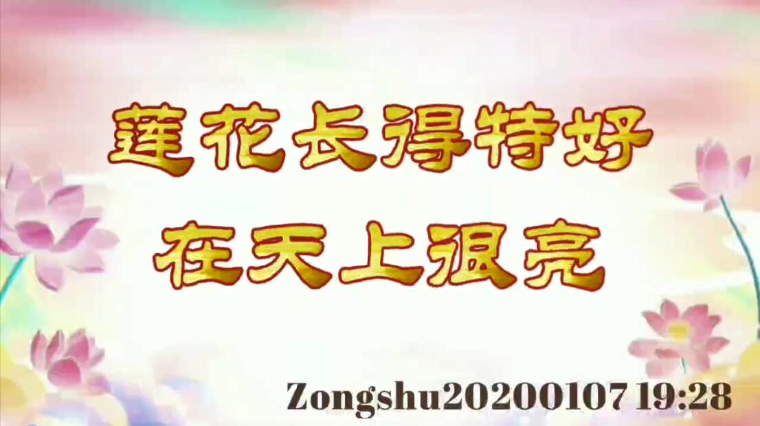 莲花长得特好，在天上很亮 zongshu20200107_1928