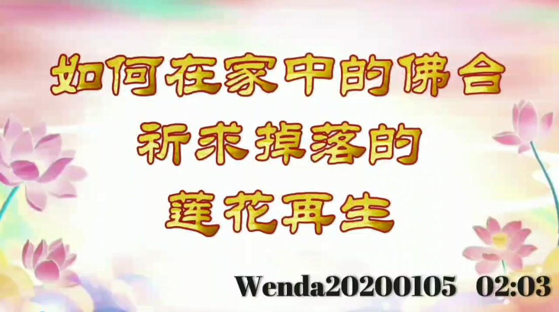 如何在家中的佛台祈求掉落的莲花再生 wenda20200105_0203